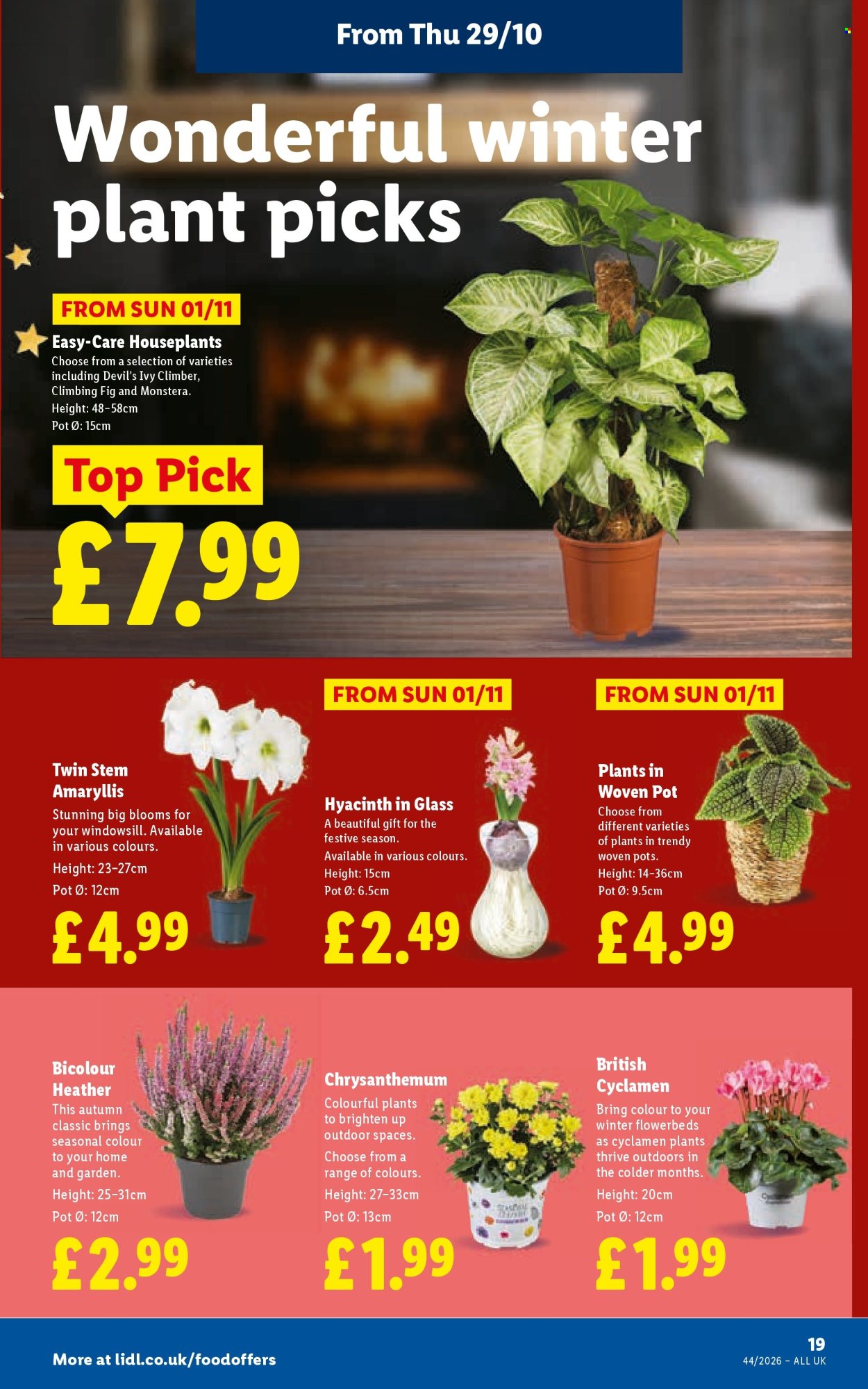 Lidl offer  - 29.10.2026 - 4.11.2026. Page 23. Page 23
