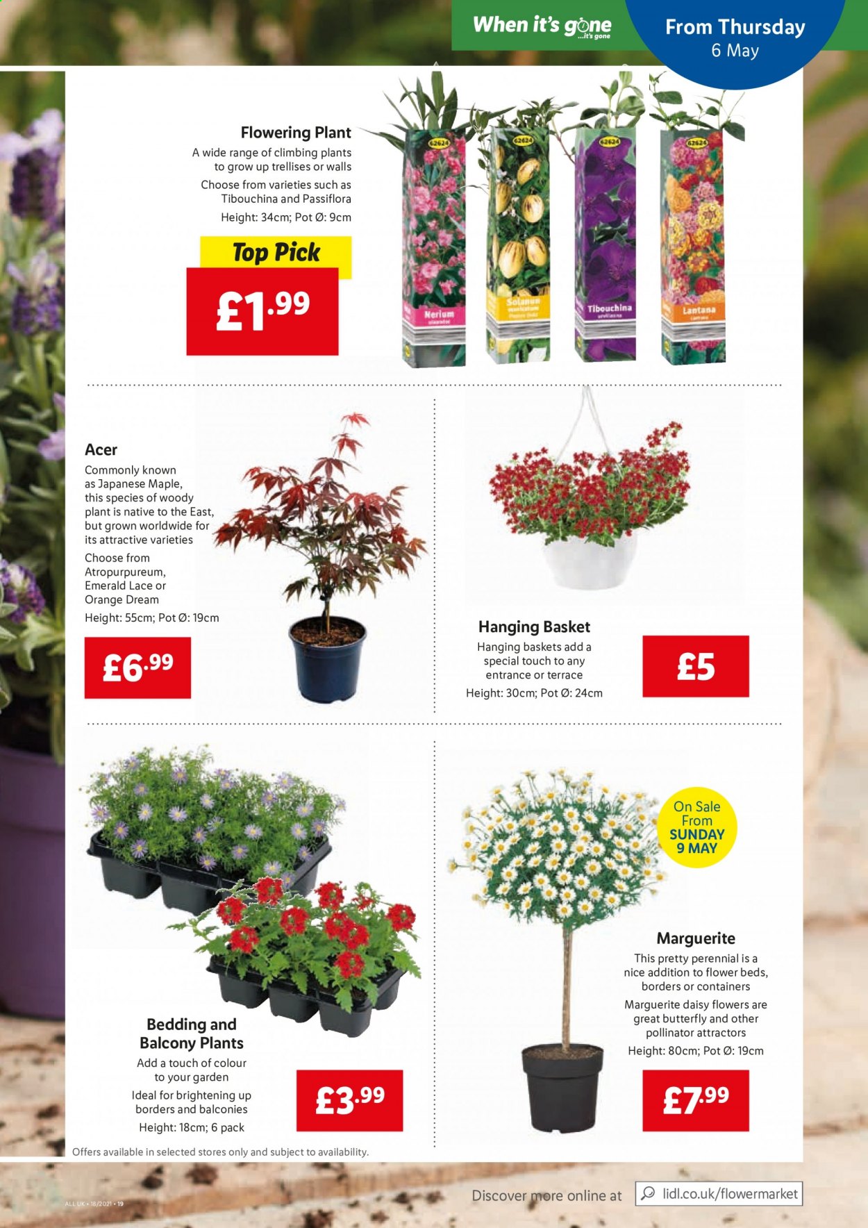 Lidl offer  - 6.5.2021 - 12.5.2021. Page 17.