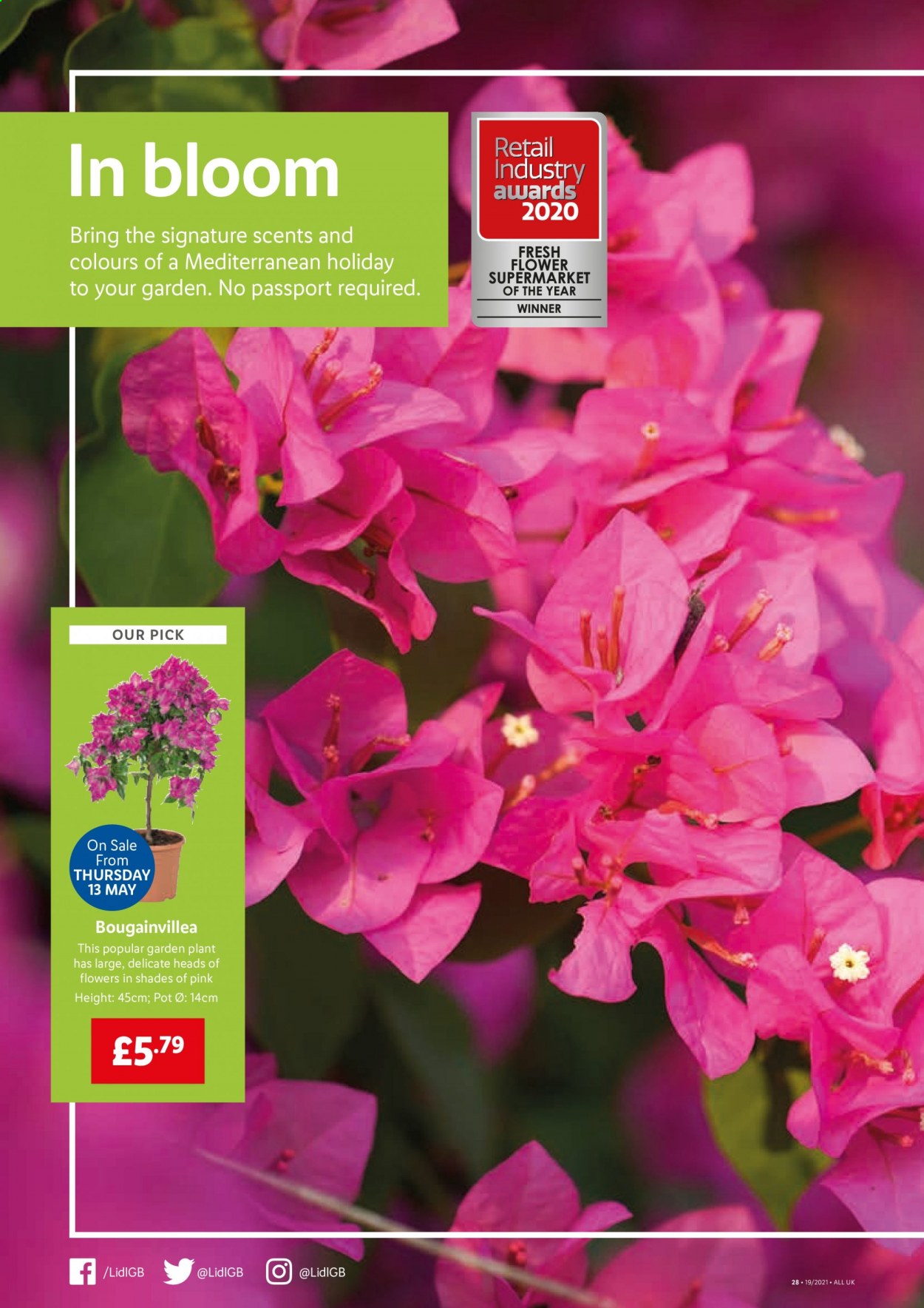 Lidl offer  - 13.5.2021 - 19.5.2021. Page 18.