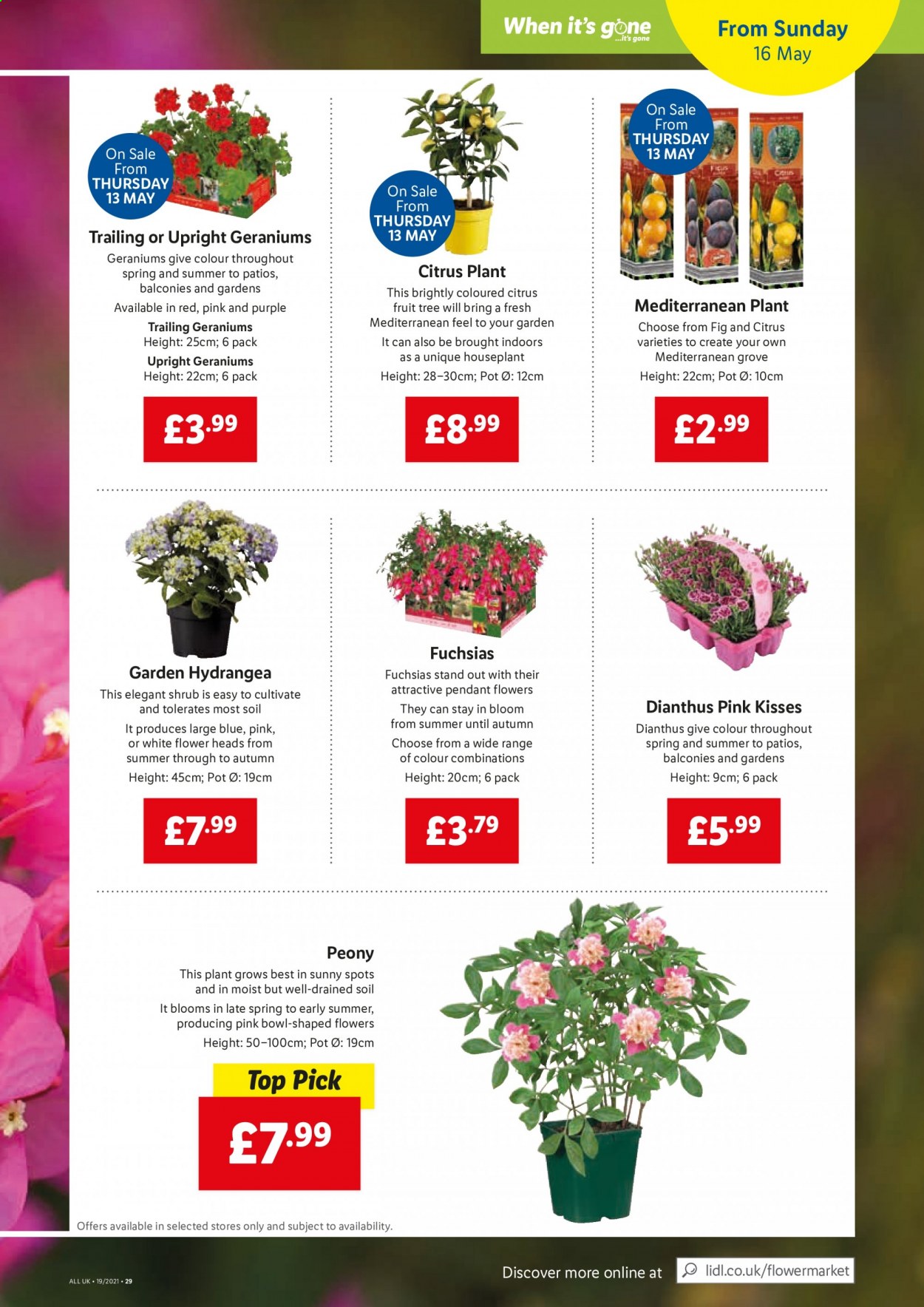 Lidl offer  - 13.5.2021 - 19.5.2021. Page 19.