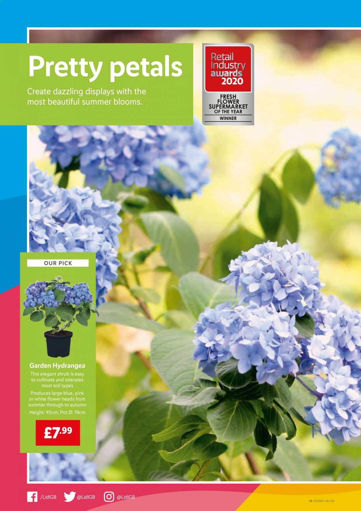 Lidl offer  - 24.6.2021 - 30.6.2021. Page 14.