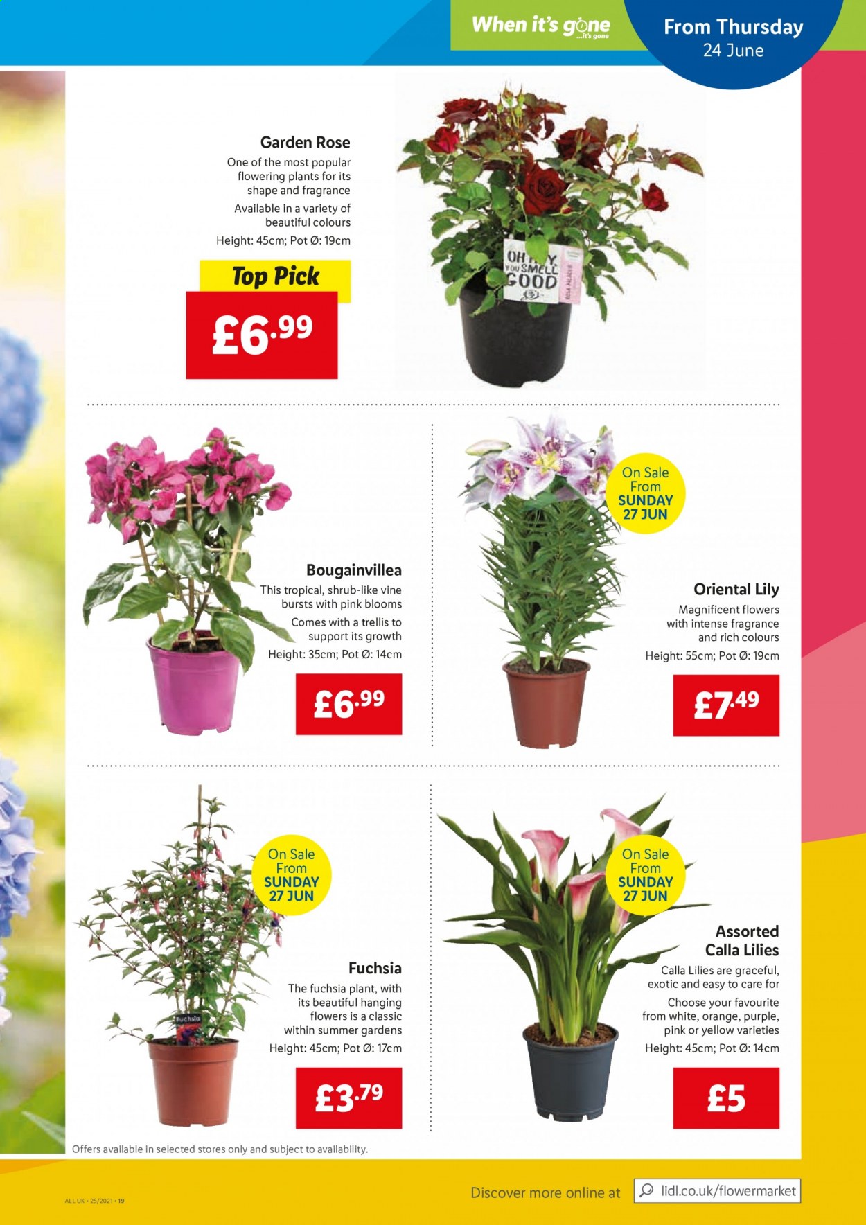 Lidl offer  - 24.6.2021 - 30.6.2021. Page 15.