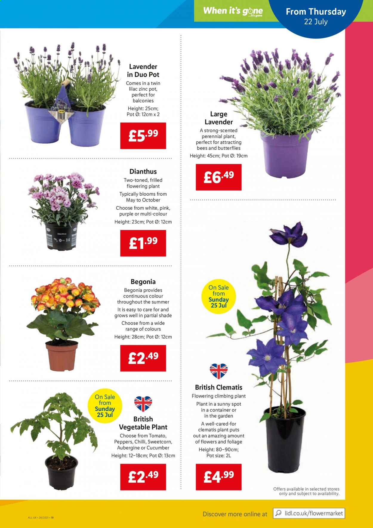 Lidl offer  - 22.7.2021 - 28.7.2021. Page 17.
