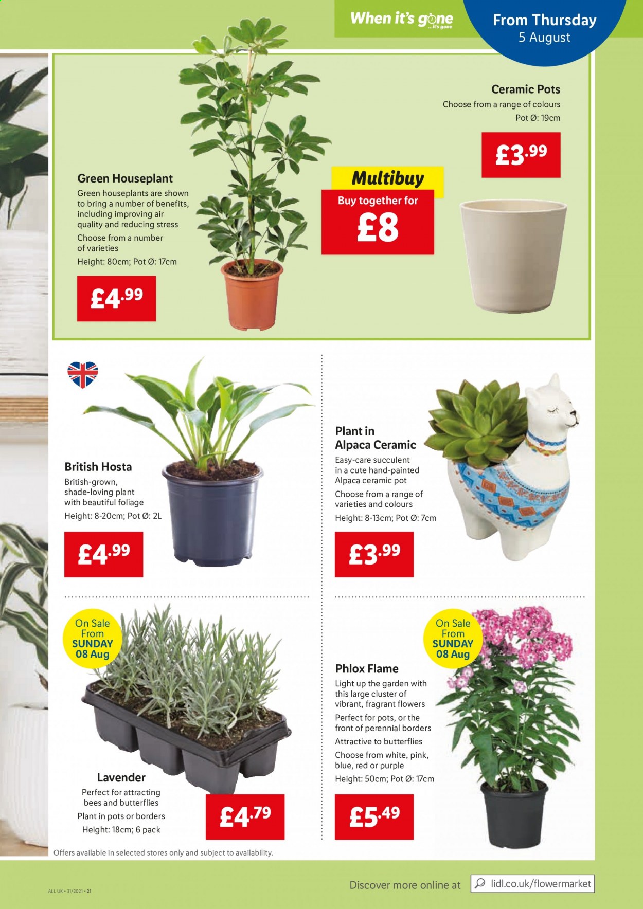 Lidl offer  - 5.8.2021 - 11.8.2021. Page 21.