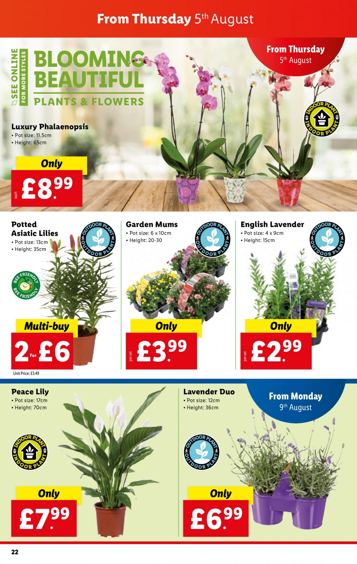 Lidl offer  - 5.8.2021 - 11.8.2021. Page 22.