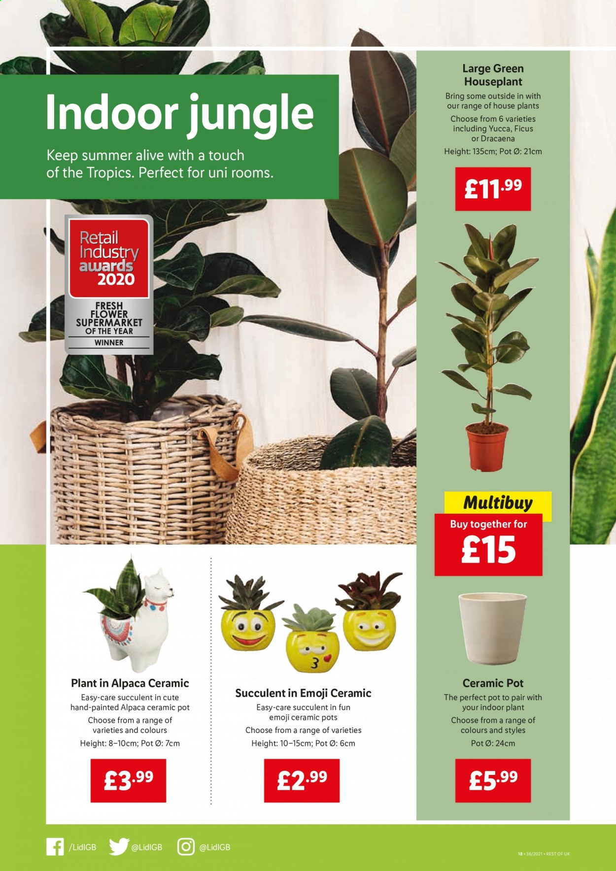 Lidl offer  - 9.9.2021 - 15.9.2021. Page 16.