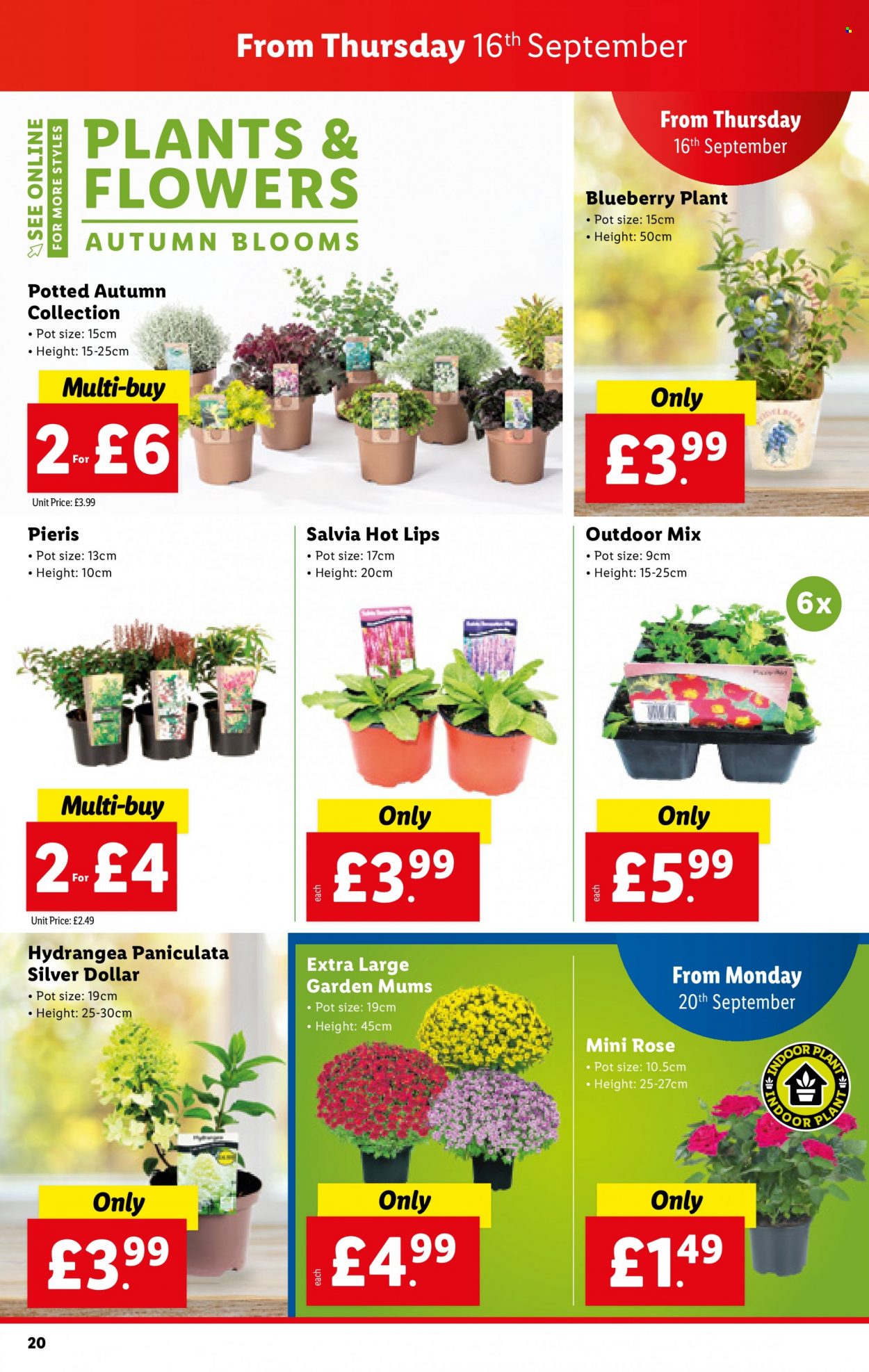 Lidl offer  - 16.9.2021 - 22.9.2021. Page 20.