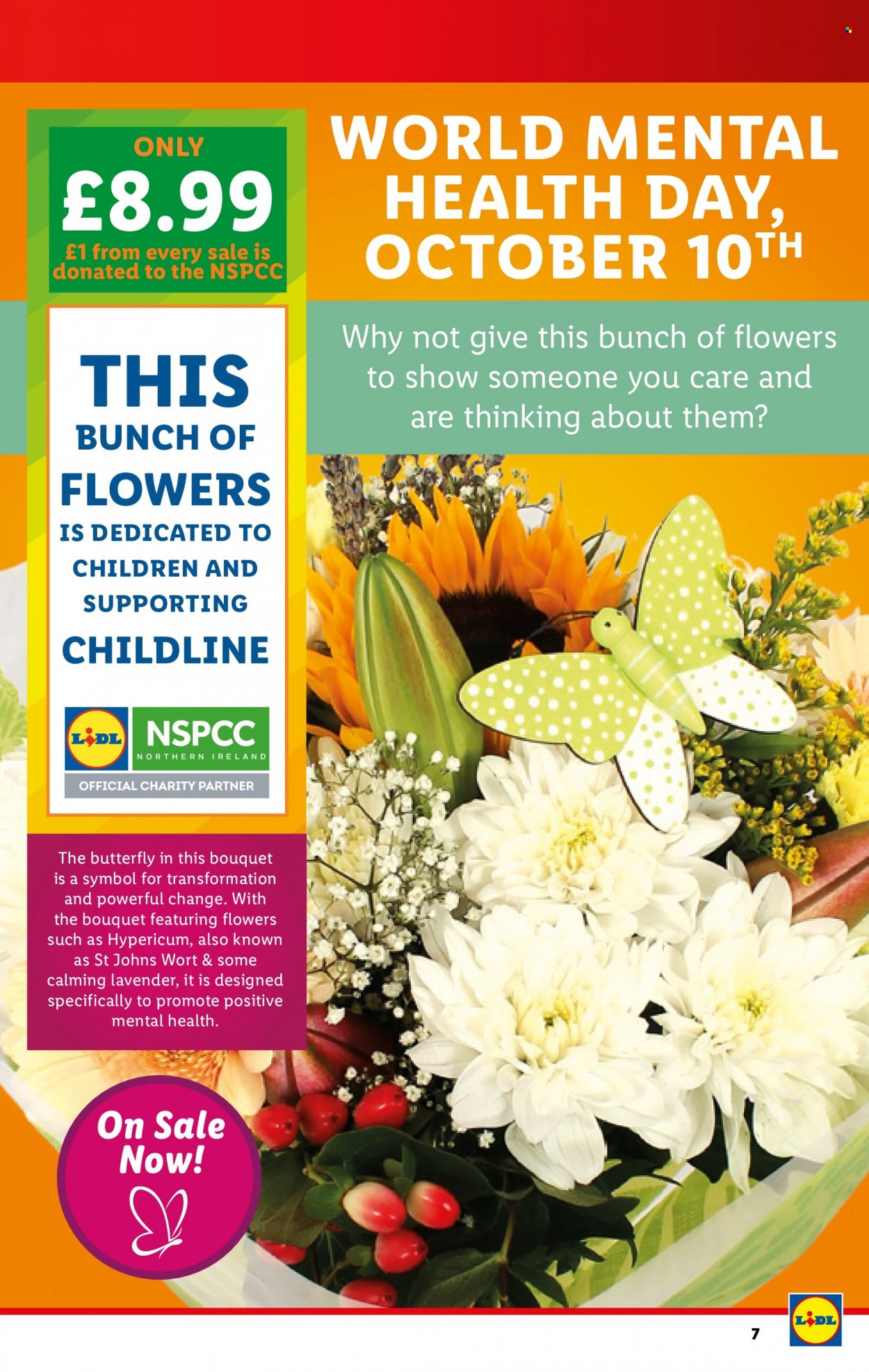 Lidl offer  - 7.10.2021 - 13.10.2021. Page 7.