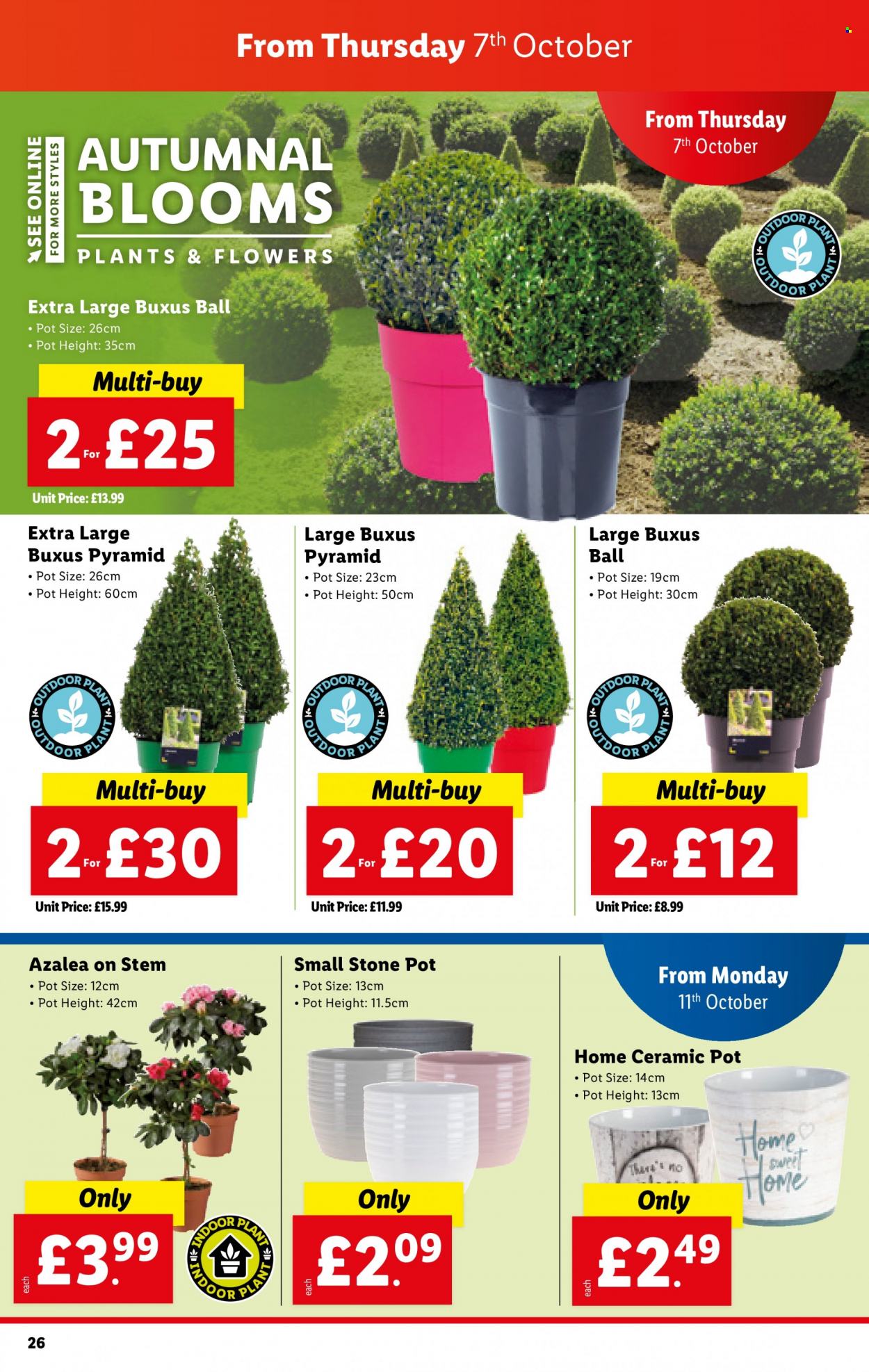 Lidl offer  - 7.10.2021 - 13.10.2021. Page 26.