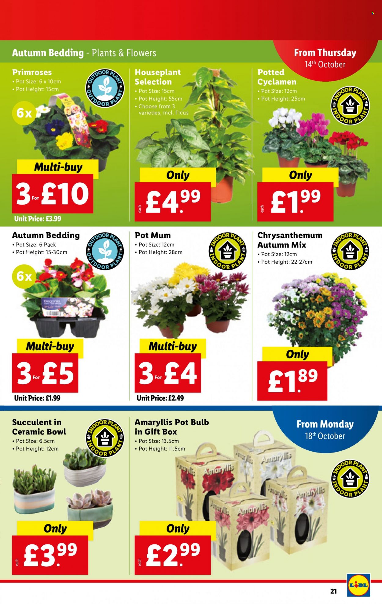Lidl offer  - 14.10.2021 - 20.10.2021. Page 21.