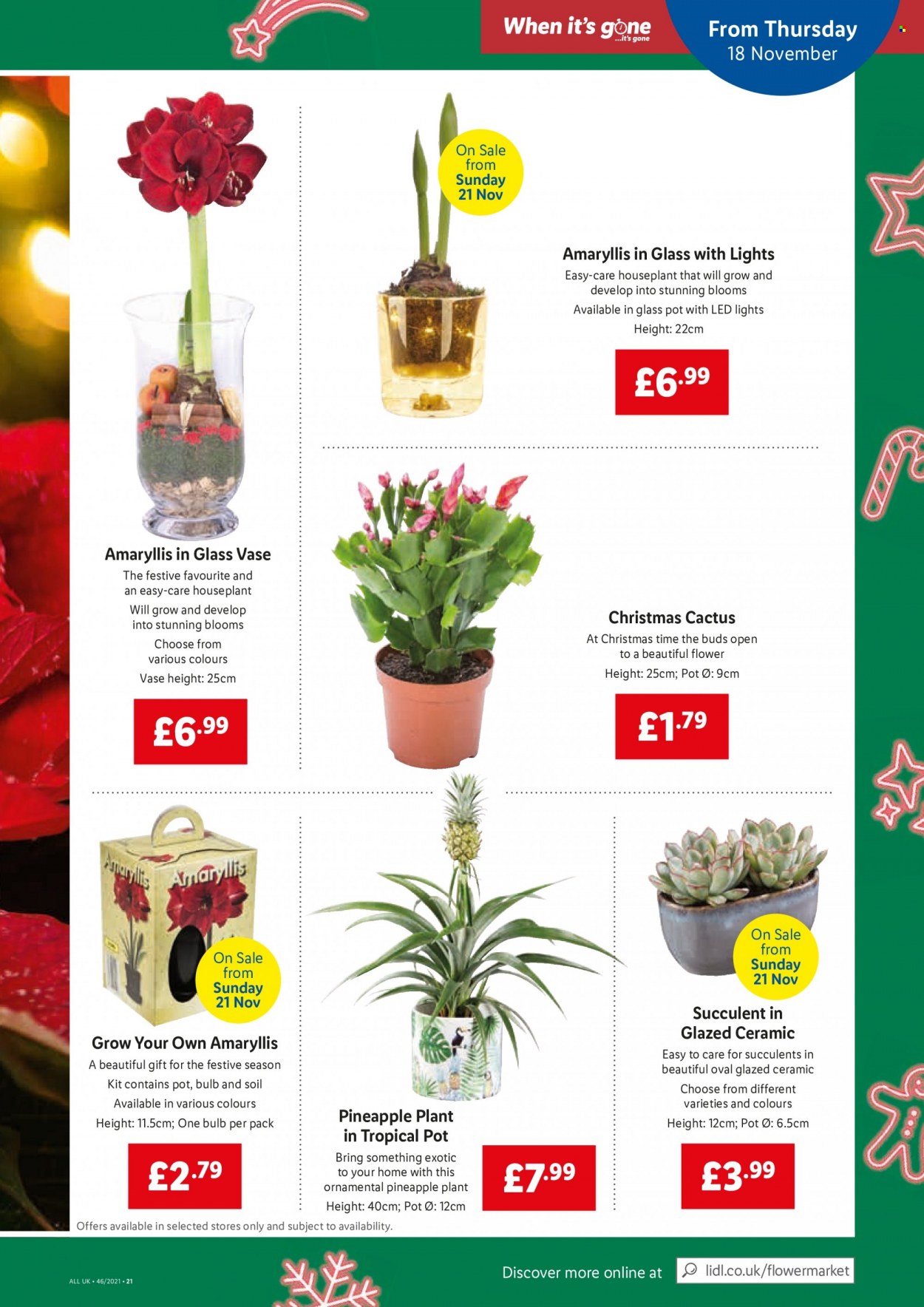 Lidl offer  - 18.11.2021 - 24.11.2021. Page 15.
