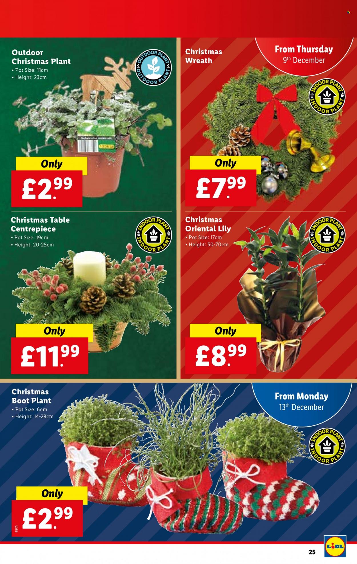 Lidl offer  - 9.12.2021 - 15.12.2021. Page 25.