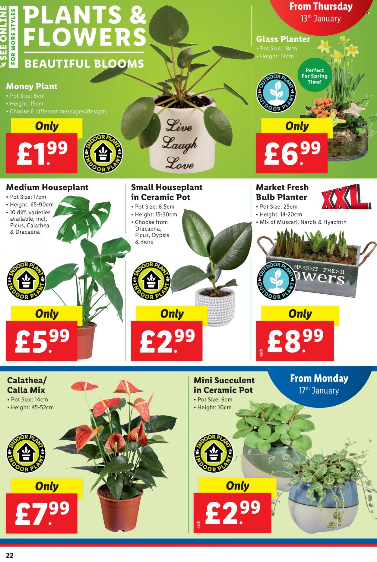 Lidl offer  - 13.1.2022 - 19.1.2022. Page 22.