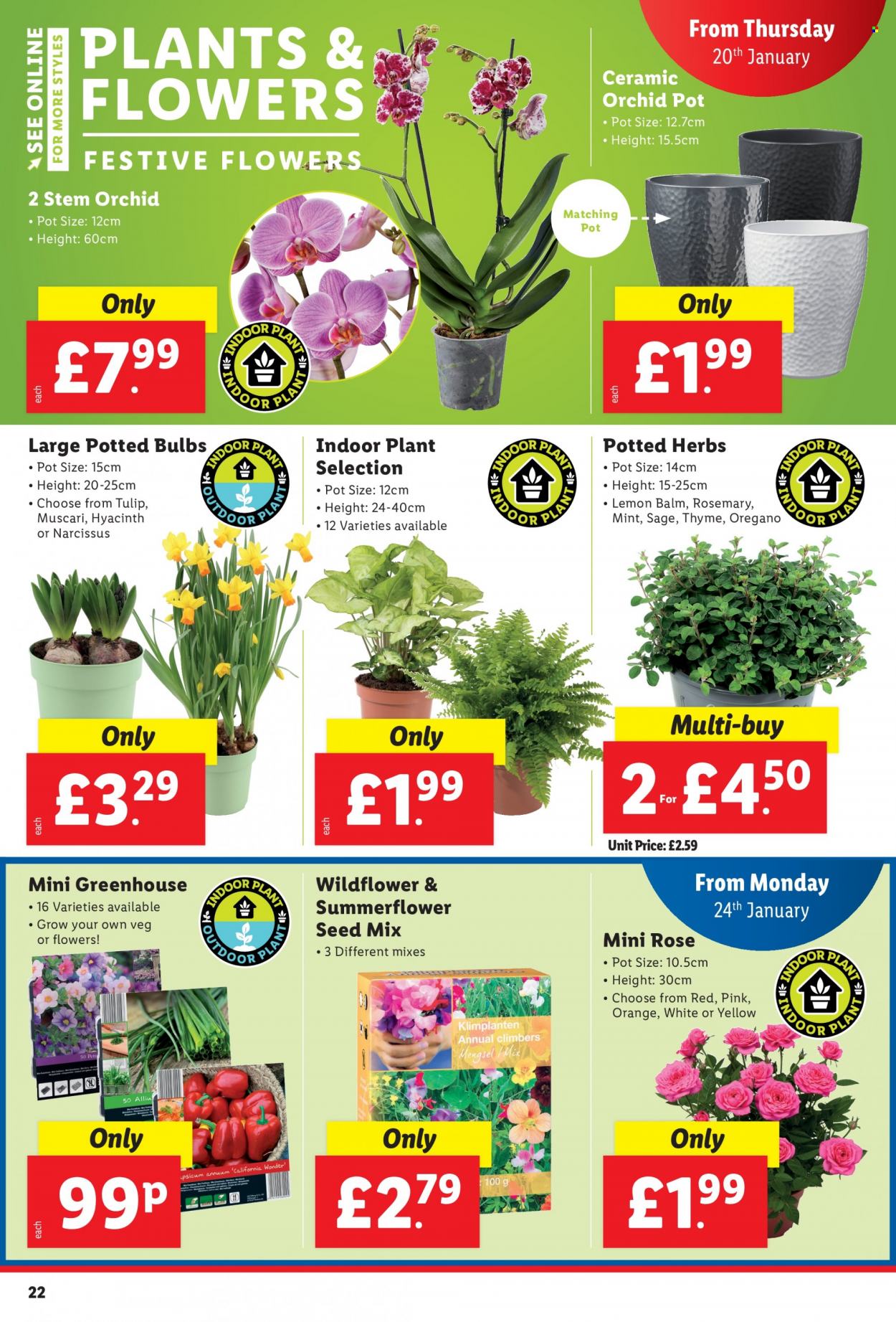 Lidl offer  - 20.1.2022 - 26.1.2022. Page 22.