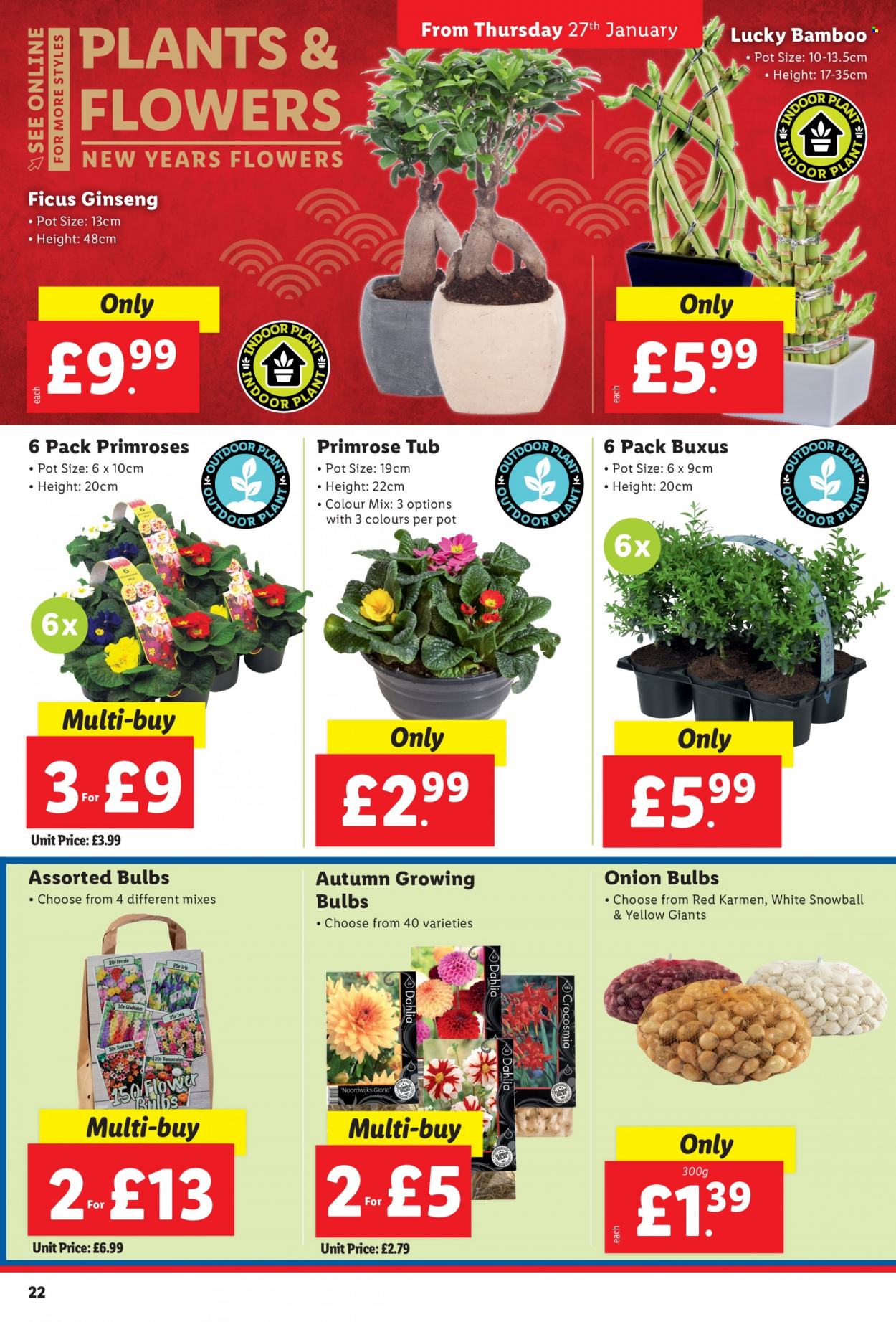 Lidl offer  - 27.1.2022 - 2.2.2022. Page 22.