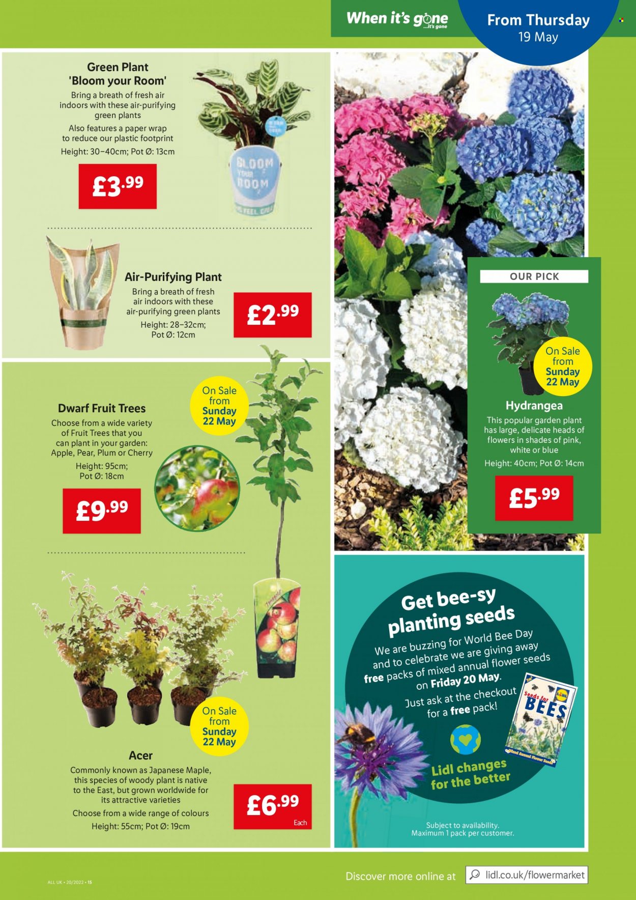 Lidl offer  - 19.5.2022 - 25.5.2022. Page 15.