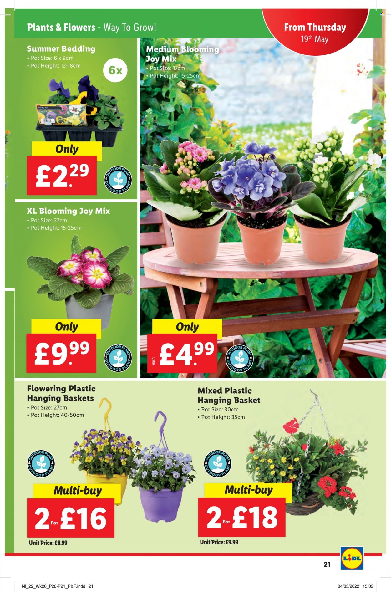 Lidl offer  - 19.5.2022 - 25.5.2022. Page 21.