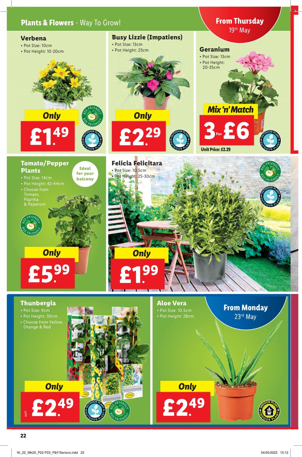Lidl offer  - 19.5.2022 - 25.5.2022. Page 22.