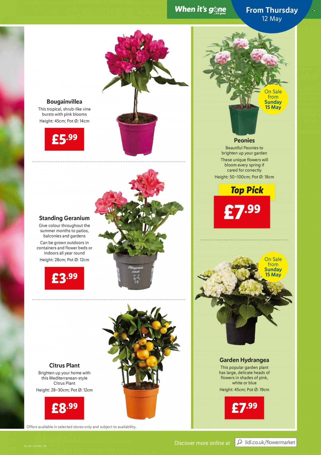 Lidl offer  - 12.5.2022 - 18.5.2022. Page 11.