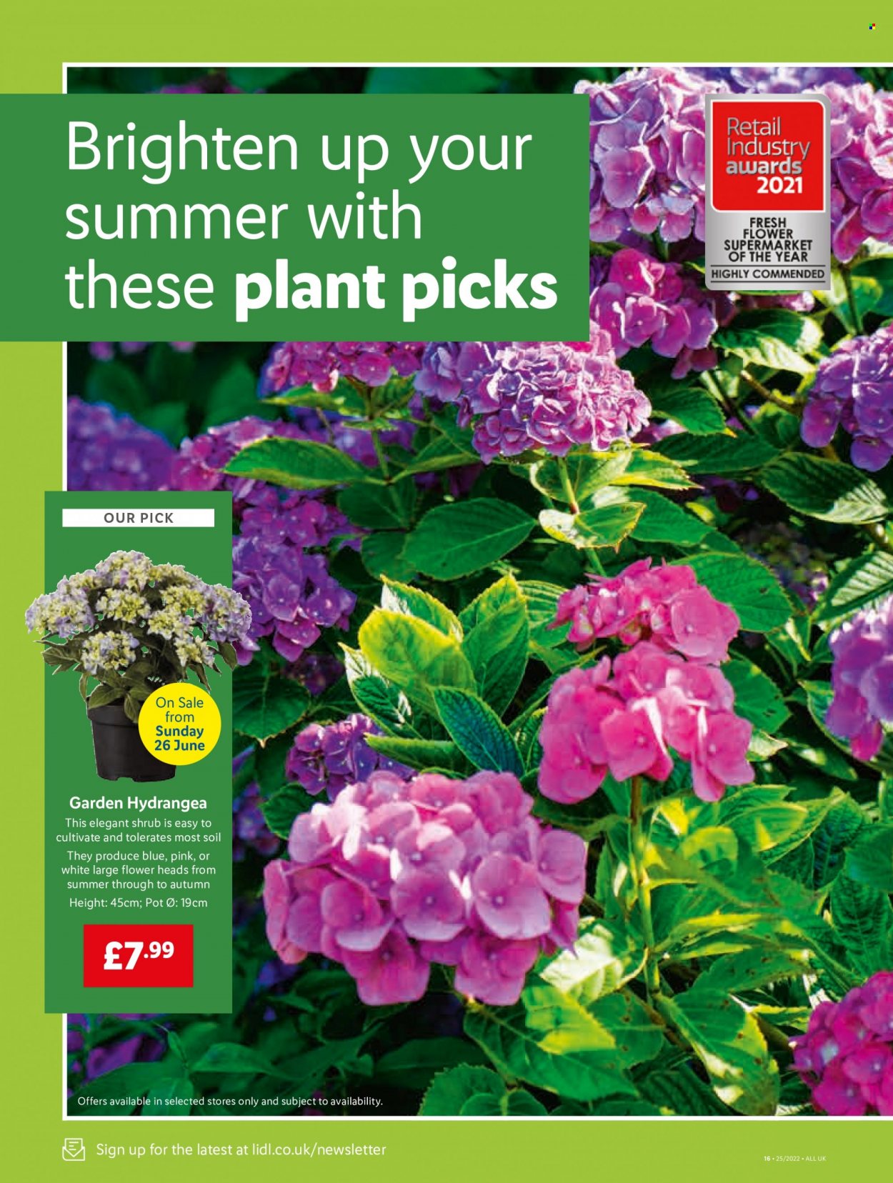 Lidl offer  - 23.6.2022 - 29.6.2022. Page 14.