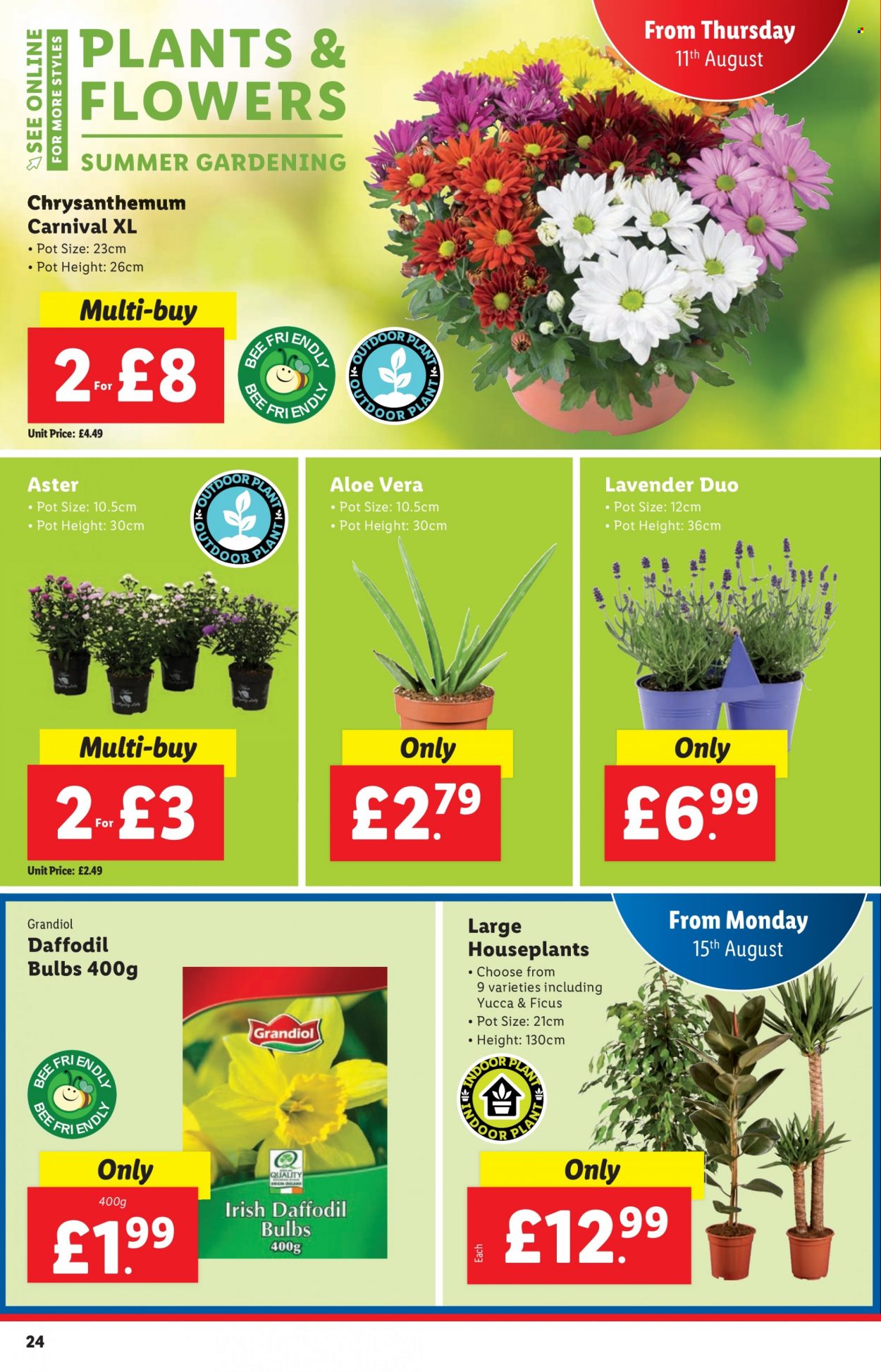 Lidl offer  - 11.8.2022 - 17.8.2022. Page 24.